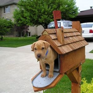 Meet your Posher, Gail